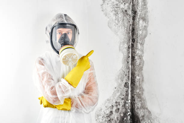 Best Mold Prevention Services  in Troy, MO